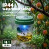 4 Pack Wasp Trap Outdoor Hanging