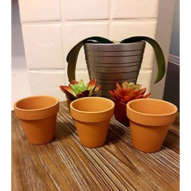 3Pk 2.5" Terra Cotta Pot