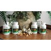 3 Pack GC Goutcare Uric Acid Control and Joint Health