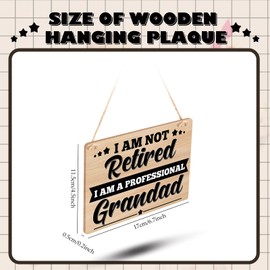 Namalu Funny Retirement Gifts for Grandad Wooden I'm Not Retired I Am a Professional Grandad Hanging Plaque Dad Birthday Gifts Birthday Retirement Presents for Grandad Fathers Day