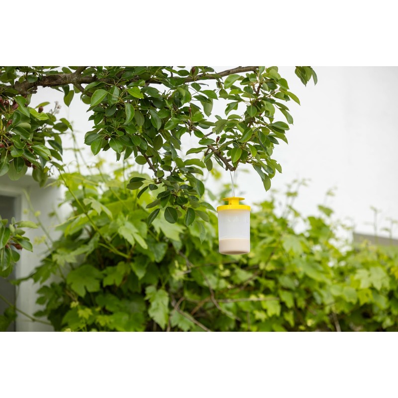 Kerbl CIT FlyCage3 Fly Trap with Attractant
