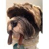 Sitting Shih Tzu Ornament Figure Figurine Model Gift Brown/White Leonardo