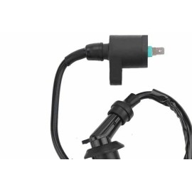 SZEJ Ignition Coil Module For Dongfang 200CC Go Kart DF200GKA