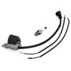 Ignition Coil Module with Spark Plug BM6A Fits McCulloch 333