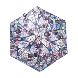 Knirps U.220 Eternity KNUL220-86872 Eternity Folding Umbrella, Auto Open/Close, Rain or Shine,, Eternity