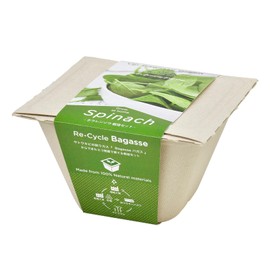 Seishin Pottery GD-95304 Household Garden, Easy Cultivation Kit, Salad Spinach, Indoor, Vegetables, Growing Set, Bagasse Green, Mother's Day, Gift, Birthday