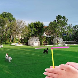 KFZDCG Flying Hand Helicopter Toy - Bamboo Dragonfly Hand Rub Plastic Propeller, Plastic Flying Toys Edu Toy for Outdoor Toy Kids Gift Flying (Random Color) 30 Pieces