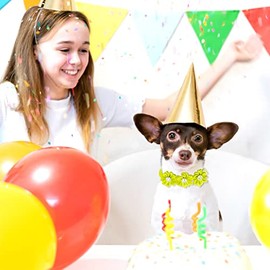 80 Pcs Dog Bowtie Flower Dog Collar Girl Dog Accessories Adjustable Girl Puppy Collars Cat Bow Tie Dog Flower with Diamond Crystal for Dogs Cats Pet Summer Birthday Party Christmas Wedding Supplies