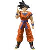 TAMASHII NATIONS - Dragon Ball Z - Son Goku -A