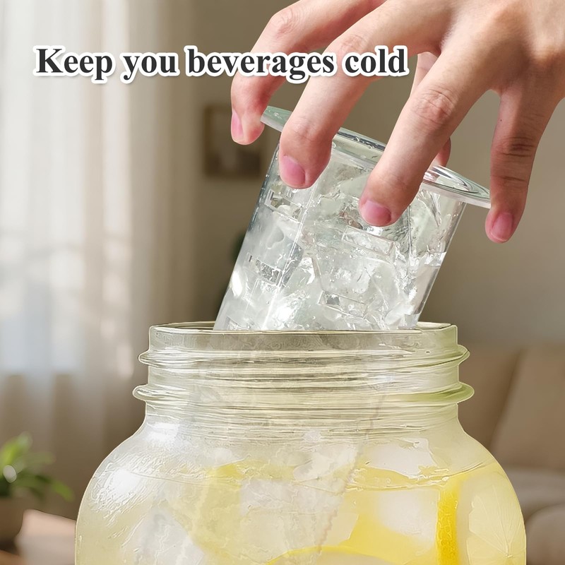 Fruit Infuser & Ice Cylinder for 1 Gallon Drink Dispensers,Compatible