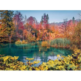 Ki Puzzles Rompecabezas Humedales Croacia 1000 Pz Ki Puzzles Paisaje