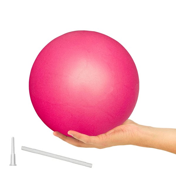 9 Inch Exercise Pilates Ball Mini Exercise Barre Ball for Yoga,Stability Exercise Training Gym Anti Burst and Slip Resistant Balls Physical Therapy Improves Balance, Core Strength, Back Pain Posture (1Pack-Pink)