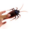 Tipmant RC Cockroach Remote Control Car Vehicle Animal Toys Electronic
