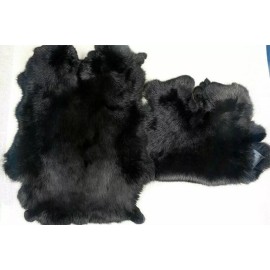 ZSCYD-yingda1992 ZSCYD-yingda19