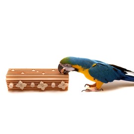 Parrot Wizard Activity Block - Large Bolt-On Parrot Toy for Macaws and Large Parrots