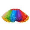 Womens Rainbow Plus Size Puffy Tutu Layered Tulle Petticoat Skirt