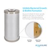 Fortitude V2 Series Sediment/Carbon/Zinc Bacteria Inhibiting Triple Purpose Replacement Filter