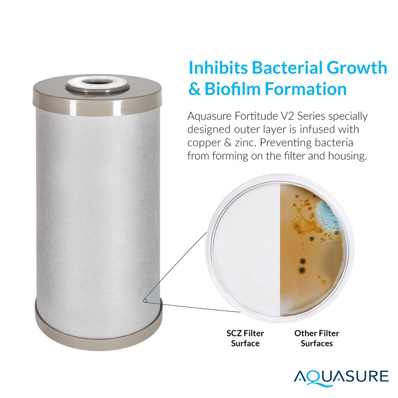 Fortitude V2 Series Sediment/Carbon/Zinc Bacteria Inhibiting Triple Purpose Replacement Filter