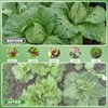 JEYODA Garden Netting Plant Covers Net Ultra Fine Mesh Pest