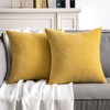 MIULEE Pack of 2 Mustard Yellow Decorative Pillow Covers 20X20