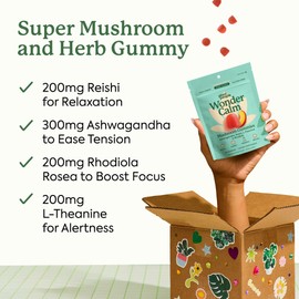 Plant People WonderCalm Mushroom Gummies - Natural Ashwagandha Supplement to Ease Stress & Boost Mood for Adults Without Sugar, Gluten or Artificial Colors, Vegan-Friendly, Peach Flavor, 60 Count