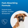 PetAg Sure Grow Supplement for Dogs & Growing Puppies 100