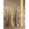 LARGE Elk/Deer Antler Premium Dog Chew (1pc) **OREGON ANTLER WORKS**