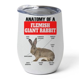 Brown Flemish Giant Rabbit Tumbler 12oz - Funny Anatomy Chart Design - Stainless Steel Vacuum Insulated Wine Cup With Lid - Gifts for Rabbit Lovers