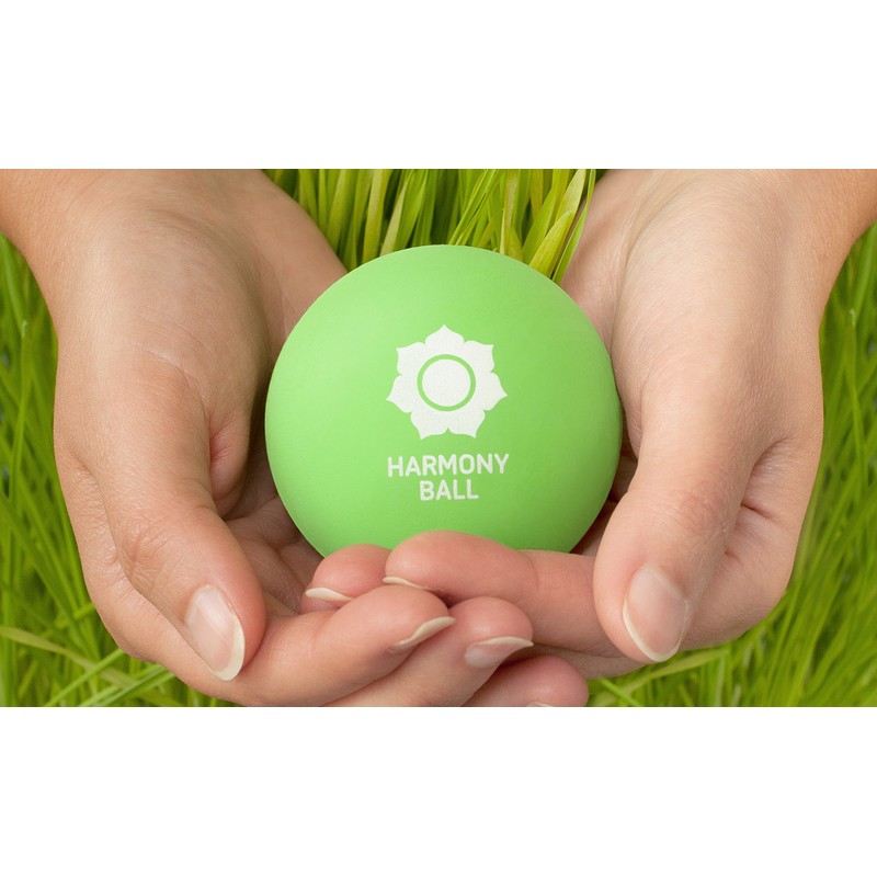Massage Ball Set of 2 Natural Rubber with Net -