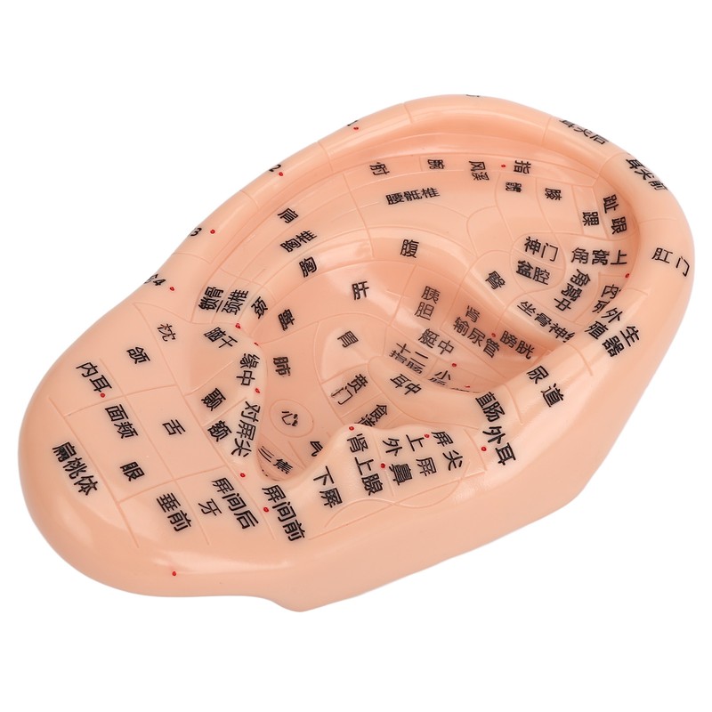 Ear Sticker Acupuncture Kit 600pcs Ear Massage Sticker Acupuncture Model