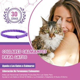 4PCS Collares De Gato, Collares Ajustables e Impermeables Que Se Pueden Cortar a La Medida y Que Se Adaptan a Gatos Pequeños, Medianos y Grandes, Más Adecuado para Tu Mascota (38cm/15in)