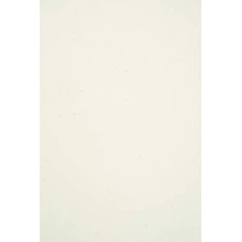 Netuno 10 x Ecru Eco Paper DIN A4 210 x 297 mm 130 g Flora Anice Eco Writing Paper Recycled Designer Paper Ecologically Recycled Paper Natural Paper High Quality for Invitations Cards Wedding Cards