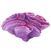 Ulifery Coral Reef Aquarium Decorations Big Fish Tank Ornaments, Pink