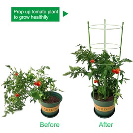 Mimeela 36 Inches Garden Trellis Tomato Cage, Plant Supports for Tall Plants, 2 Pack Cucumber Trellis with 10 Pcs Plant Clips for Supporting Stems (36”)
