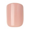 KISS imPRESS Press-On Manicure Fake Nails â€“ Kingdom, Short, Square,