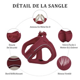 Qianruida Dog Harness, Step-in Harness for Dogs with Lead, Reflective, Breathable, Mesh, Soft, Comfortable, Adjustable, Vest for Small Dogs, Cats, Walking, Running, Training (Bordeaux L)