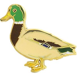 b2170618 animal friends pins mallard