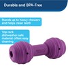PetSafe Busy Buddy Chuckle, Interactive Treat Dispensing Dog Toy, Chew