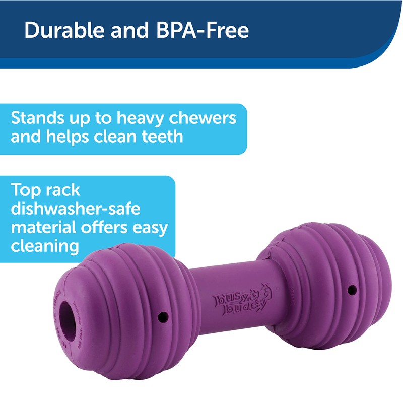 PetSafe Busy Buddy Chuckle, Interactive Treat Dispensing Dog Toy, Chew