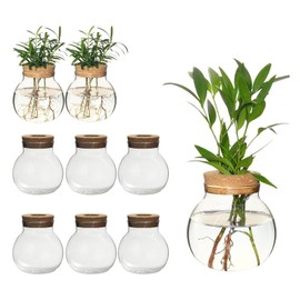 Plant Propagation Station,Hydroponic Terrarium Vase,Desktop Glass Planter Station,for Houses,Garden Decorations,ropagating Hydroponic Plants,Centerpiece Office,Home Garden Decor (9)
