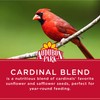 Audubon Park Cardinal Blend Wild Bird Food, Cardinal Bird Seed