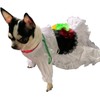 Genérico Disfraz Vestido Jarocha Veracruzana Mexicana para Perro y Gato