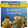 Antenne Bayern-die Nullingers
