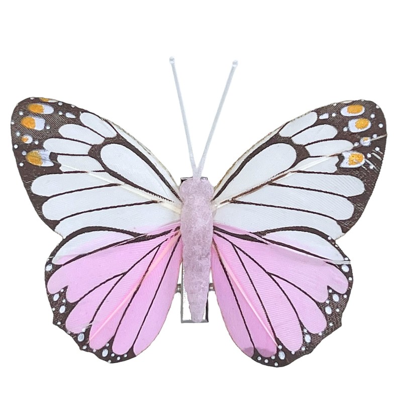MIK funshopping Colourful Butterfly Clip On Decoration (10 Piece Set,