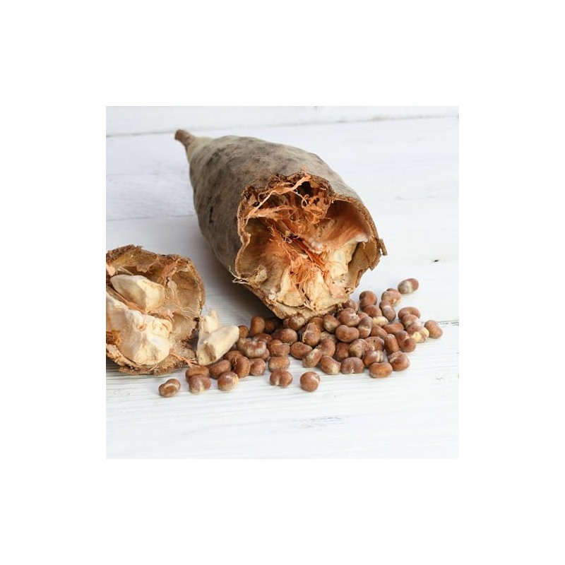 Alpi Nature Baobab Powder Organic 100 g, Ground Baobab Fruit,