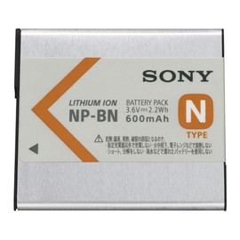Sony Rechargeable Batt PK