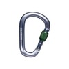 Black Diamond Pearlock Screwgate Carabiner, Gray