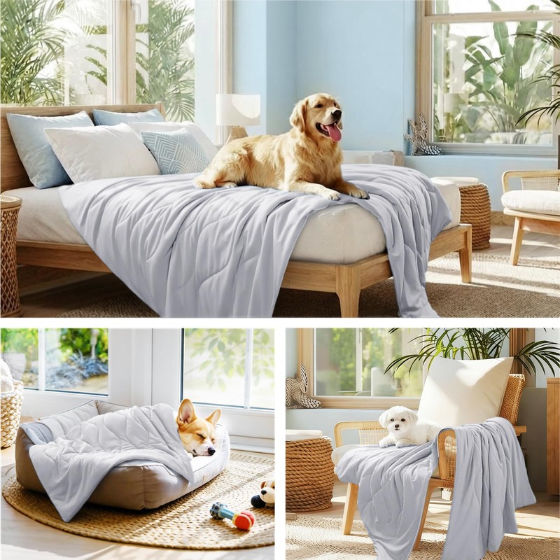 luciphia Cooling Blanket for Dogs Q-MAX > 0.5 Premium Summer