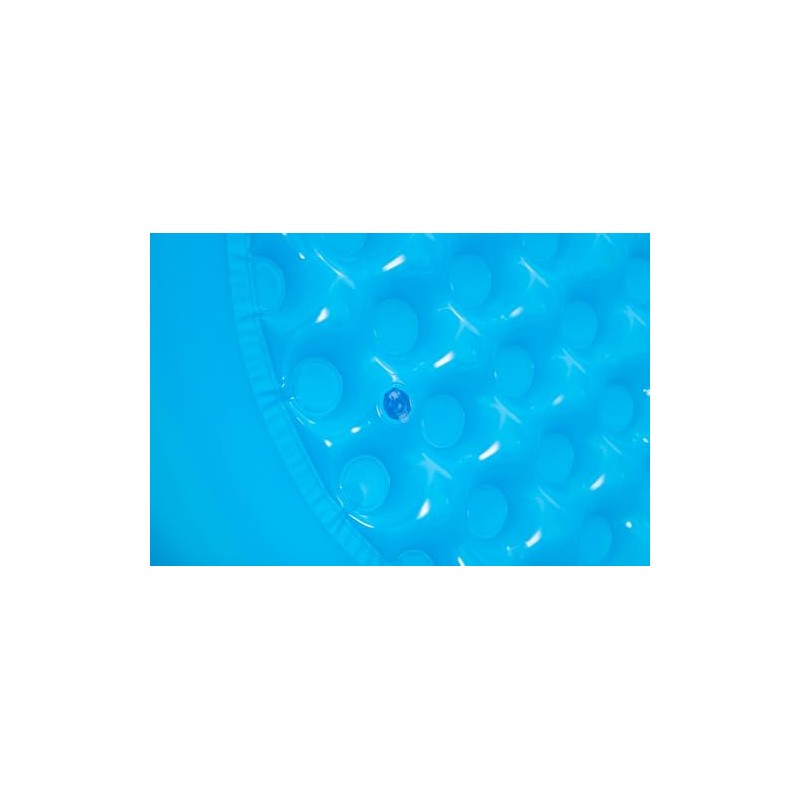 Bestway - Piscina Inflable con Sombra para niños, 1,01 m