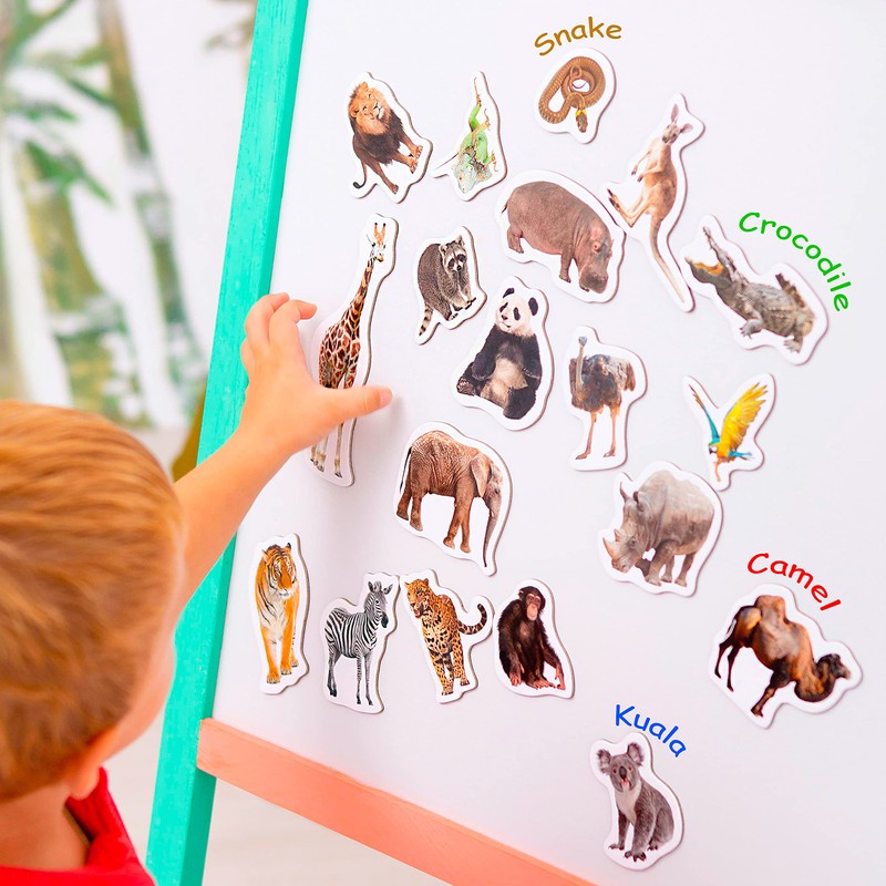 magdum Fridge Magnets For Toddlers 85 SET ZOO+ FARM+ FRUIT+